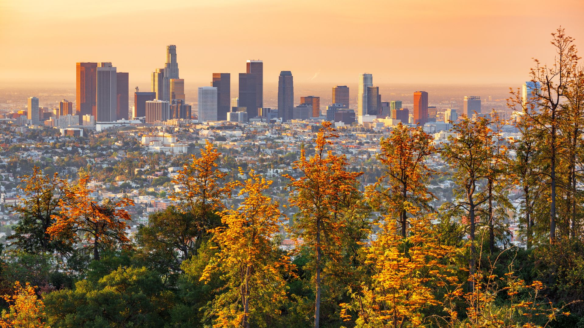 Los Angeles | Huprich Law Firm